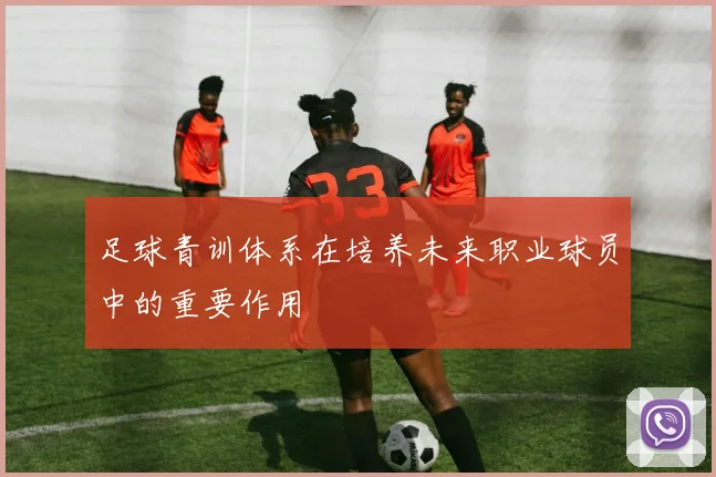 足球青训体系在培养未来职业球员中的重要作用