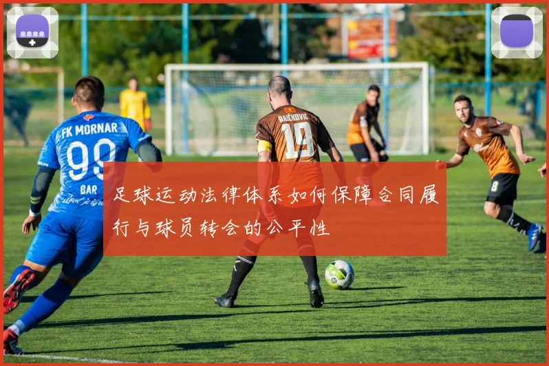 足球运动法律体系如何保障合同履行与球员转会的公平性