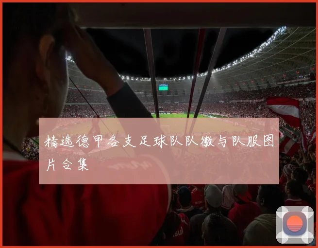 精选德甲各支足球队队徽与队服图片合集