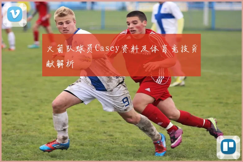 火箭队球员Casey资料及体育竞技贡献解析